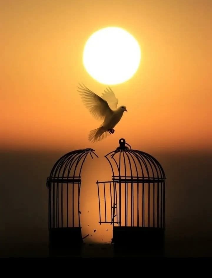 7 признаков токсичных отношений 