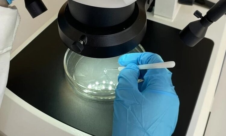    Фото: ФГБУ ЦОК АПК