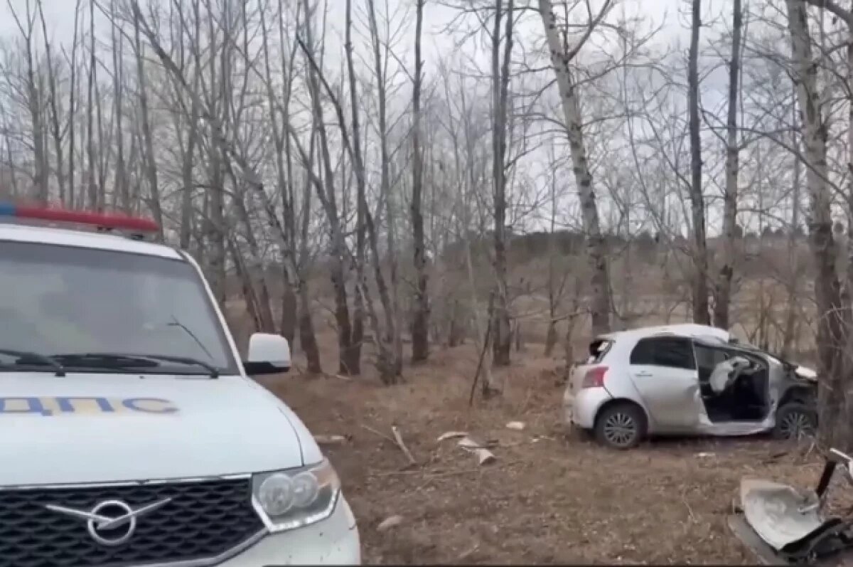    Водитель перевозившая двоих детей врезалась в дерево в Бурятии