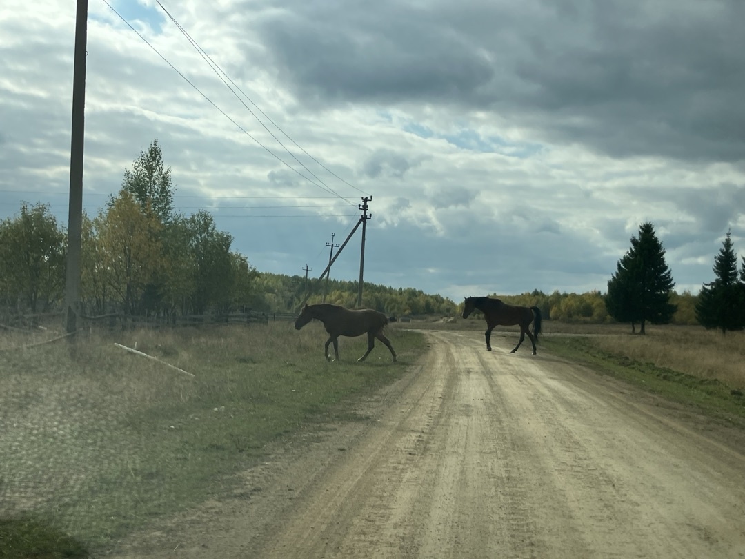 Фотография Натальи