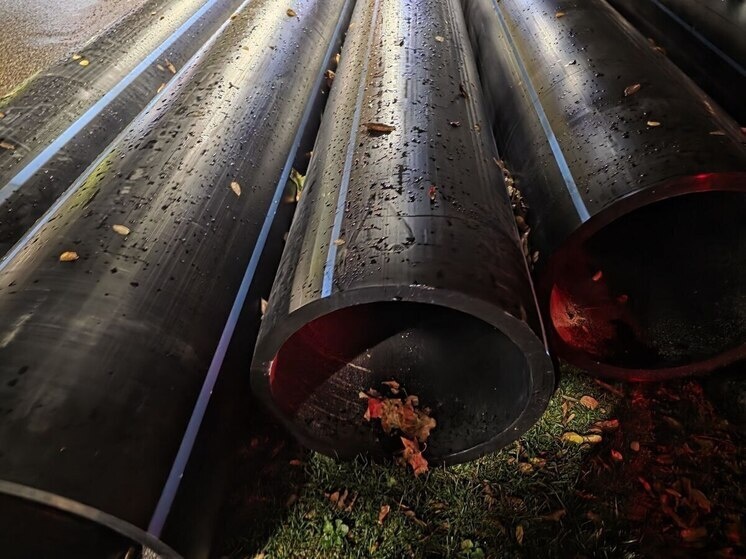     Фото: "МК на Кубани"