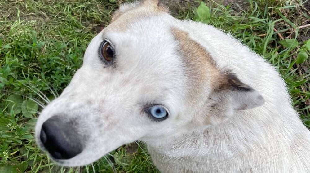    Фото: "Брянские новости"