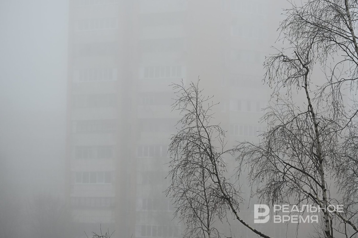   Динар Фатыхов / realnoevremya.ru