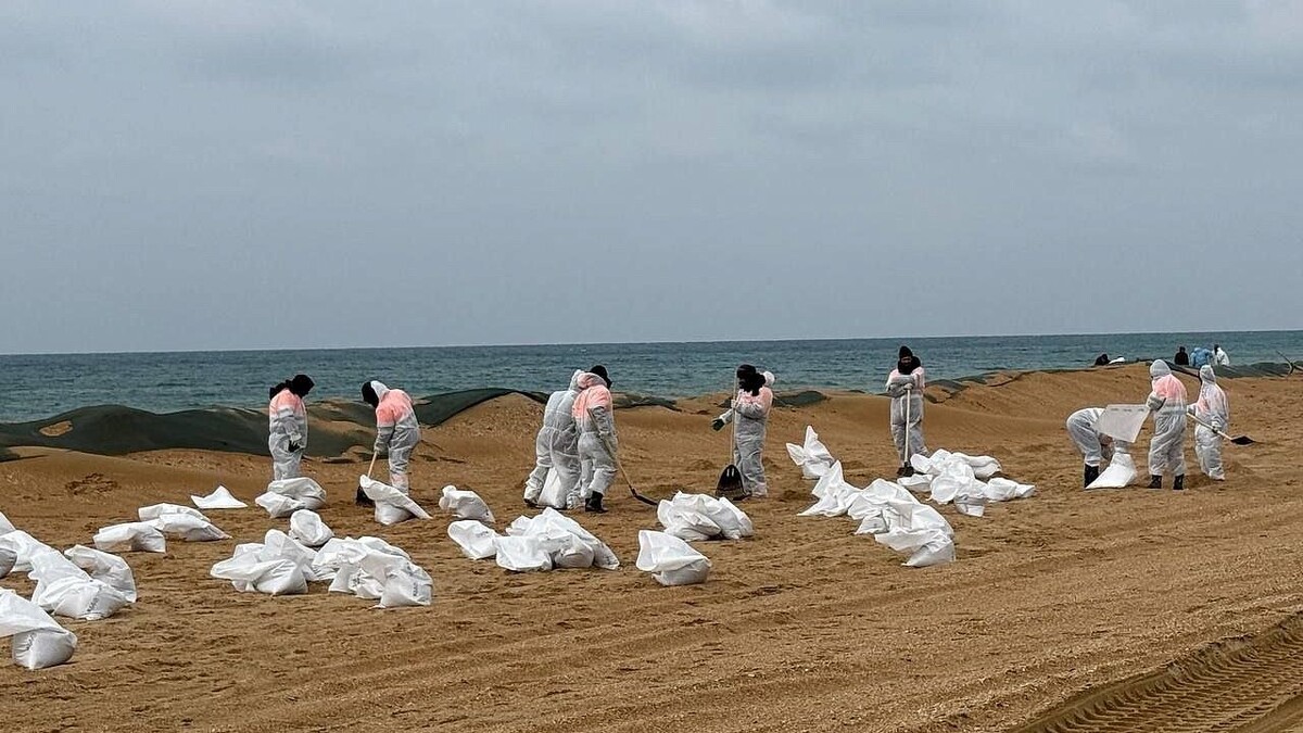    Фото: телеканал «Краснодар»