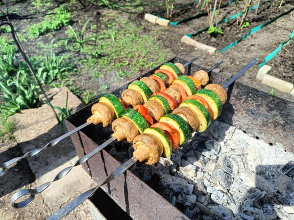 Штраф за неправильное размещение мангала: как жарить мясо на даче