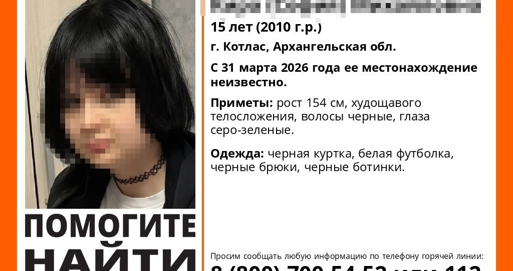 Бастрыкин заинтересовался пропажей 15-летней школьницы под Архангельском