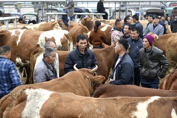 Фото: Liu Chaofu/VCG/Visual China Grou
