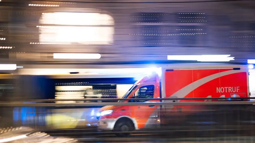    Источник: russian.rt.com Максим Левин