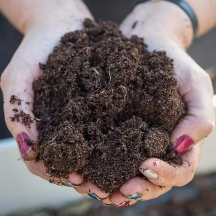 Из интернета 