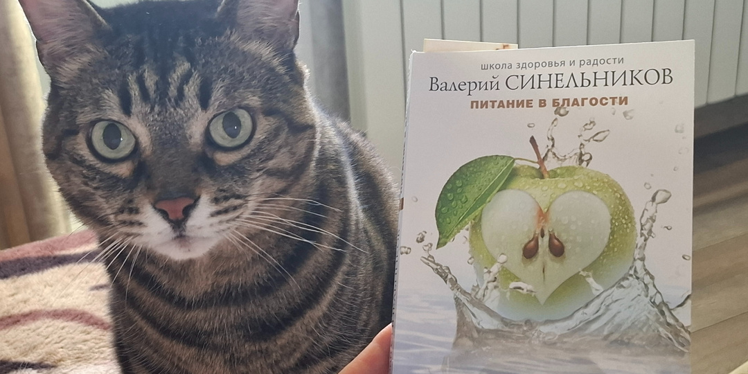 5 апреля 2026 год. Воскресенье. Дела домашние. Творожные ватрушки с вишней.