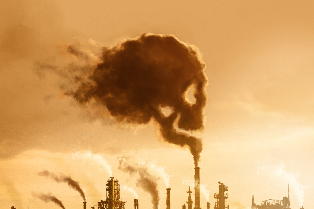    Фото: freepik. com