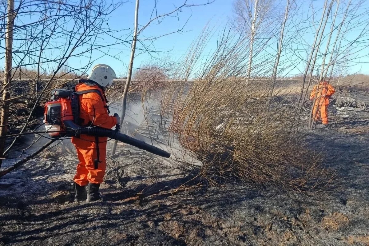    Дружинники помогают ликвидировать ландшафтные пожары в Псковской области