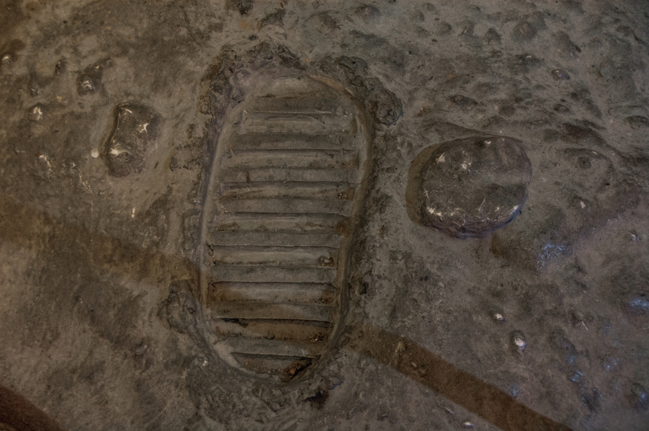    Shutterstock/FOTODOM