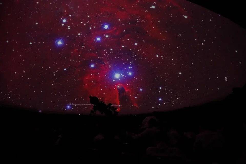    Фото: Данил Савченко/"Городские вести"