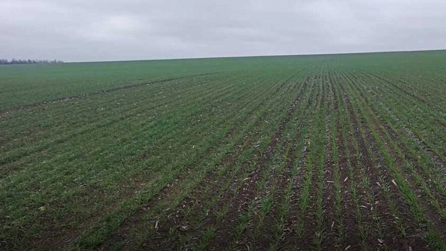    Фото: из публикаций 1Rnd