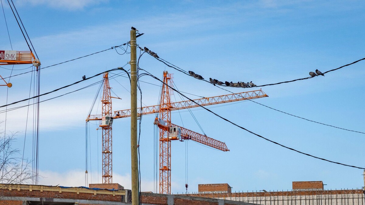    Фото: Федор Воронов/«Ямал-Медиа»