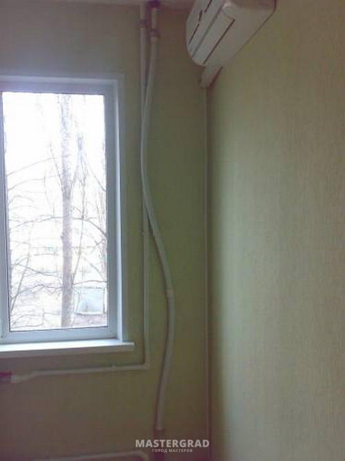 картинка из интернета