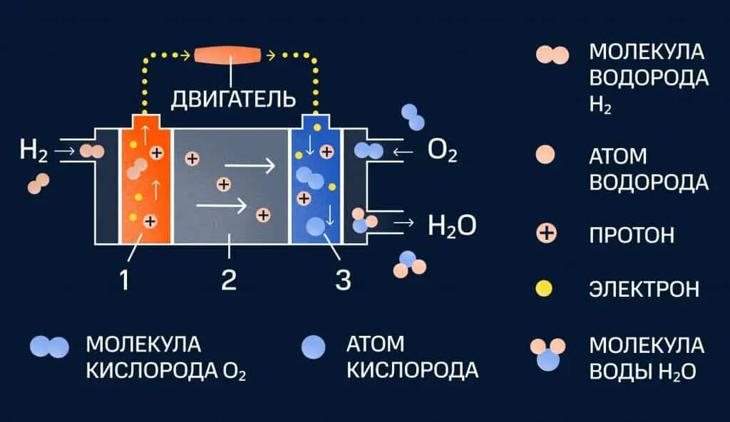 Водородный топливный элемент: принцип работы