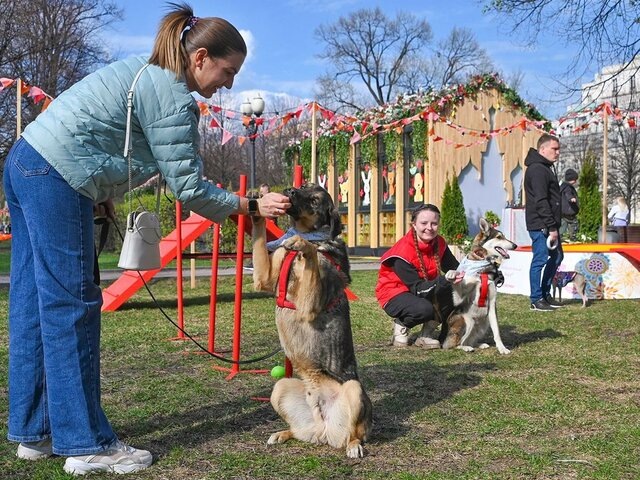    Фото: портал мэра и правительства Москвы/Юлия Иванко