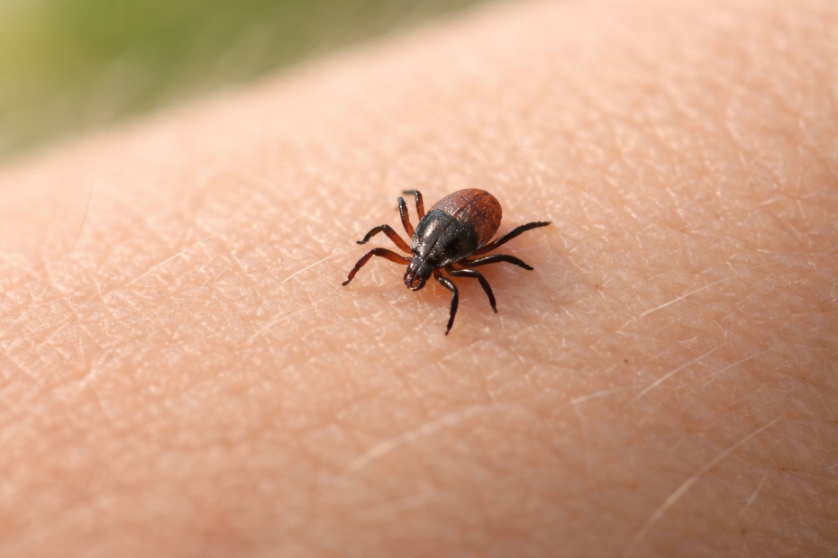    Создано ИИ/NEWS.ru