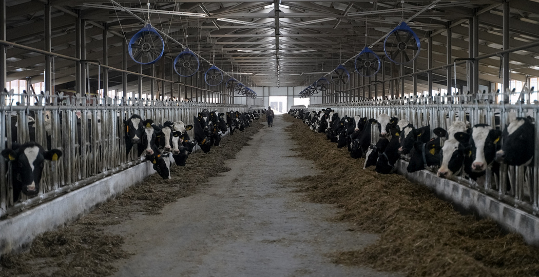 В Свердловской области готовят важные изменения в поддержке аграрного сектора