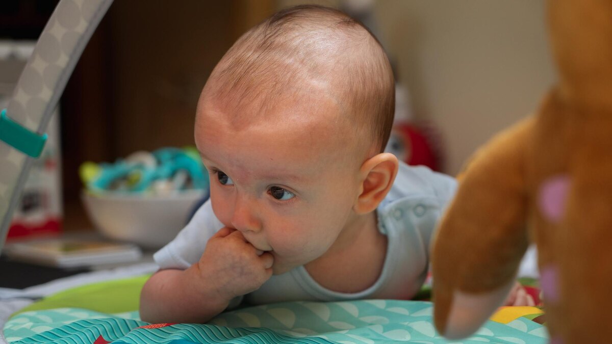    Фото: unsplash.com