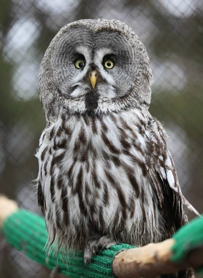 пресс-служба Казанского зооботсада