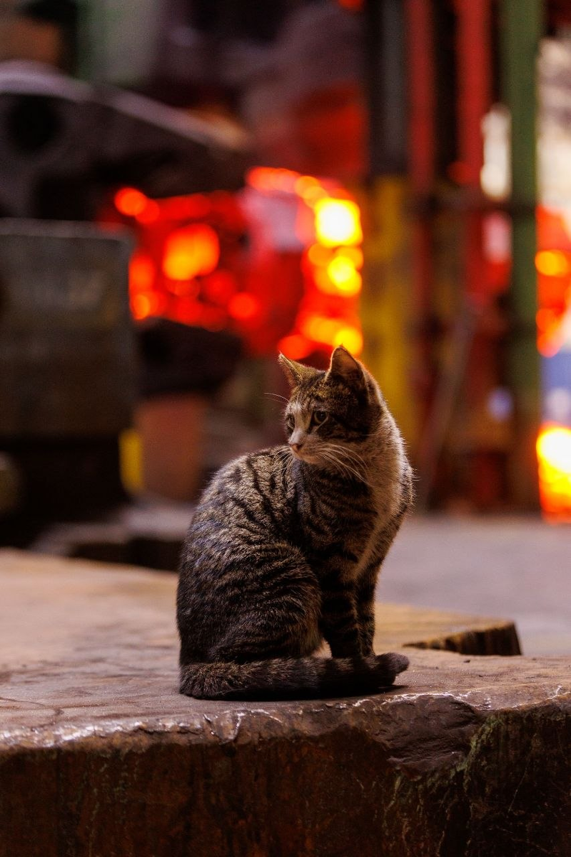  Евгений Ворошилов / «СР»