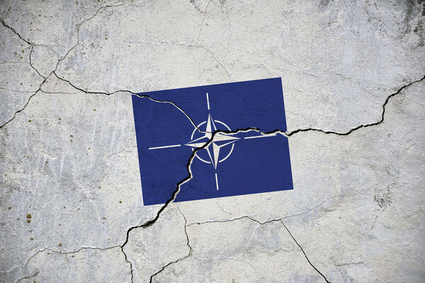 AliaksaB/Shutterstock/FOTODOM   📷