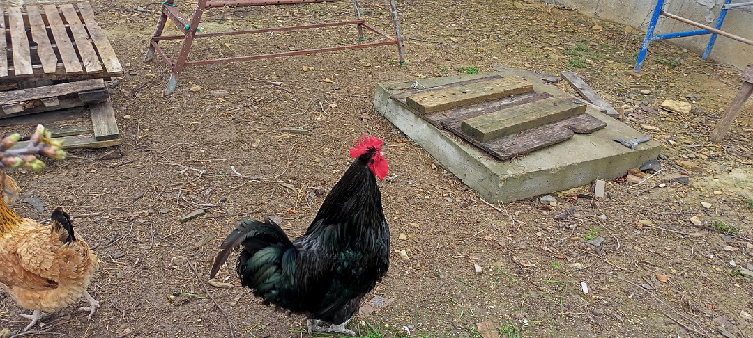 Как я вчера Сбер прокляла