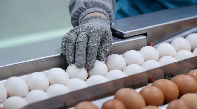    Фото: Минсельхоз Кабардино-Балкарской Республики