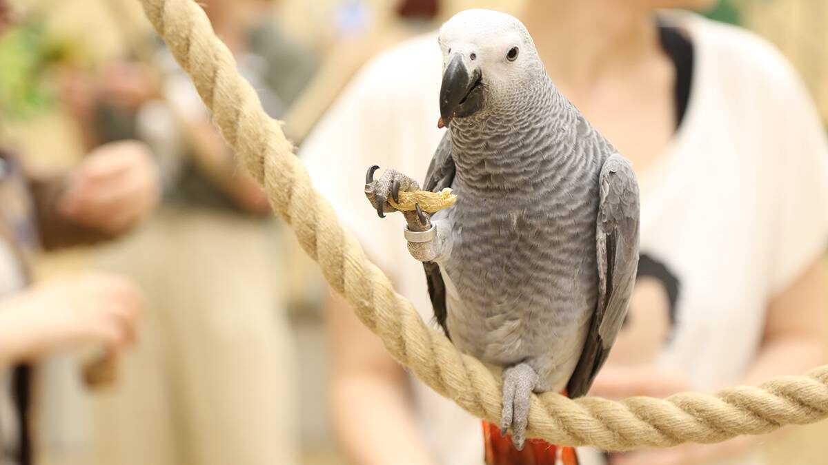    Фото: Наталья Шатохина / Вечерняя Москва