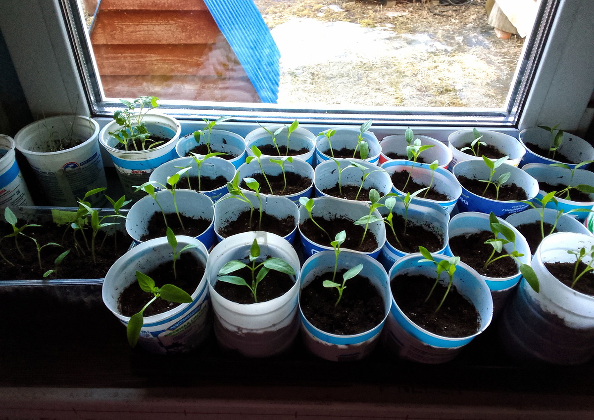 Здесь третья часть только