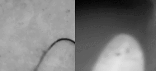 Движение в одетых очках с обнаружением объекта