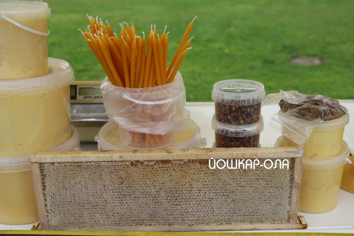 Фото Михаила Скобелева