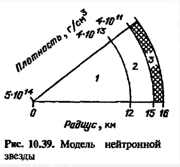 1—жидкое ядро плотностью до 5 . 10(14) г/см²; 2—внутренняя коря из ядер, сверхобогащен-ных нейтронами, и свободных нейтронов; 3—твердая кора, кристаллическая решетка из ядер железа-56 и вырожденных электронов.       