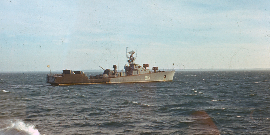 Малый противолодочный корабль пр. 204