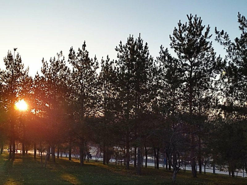      Бу якшәмбедә кызылтүш күрергә тырышыгыз!