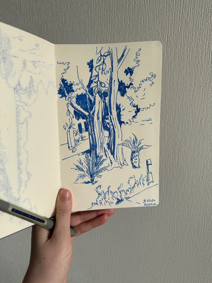 Турция капиллярной ручкой 