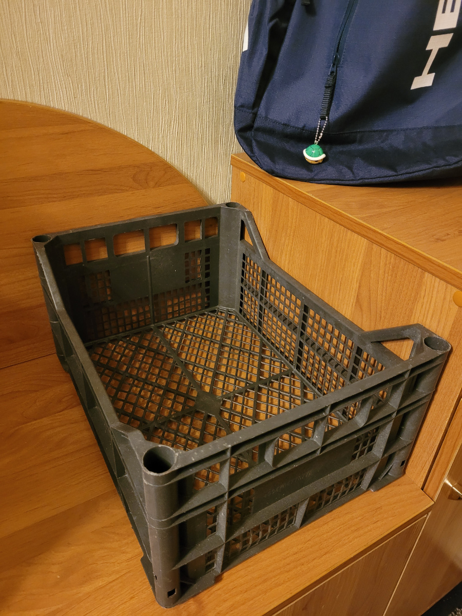 В этом привозили грейфрукты,