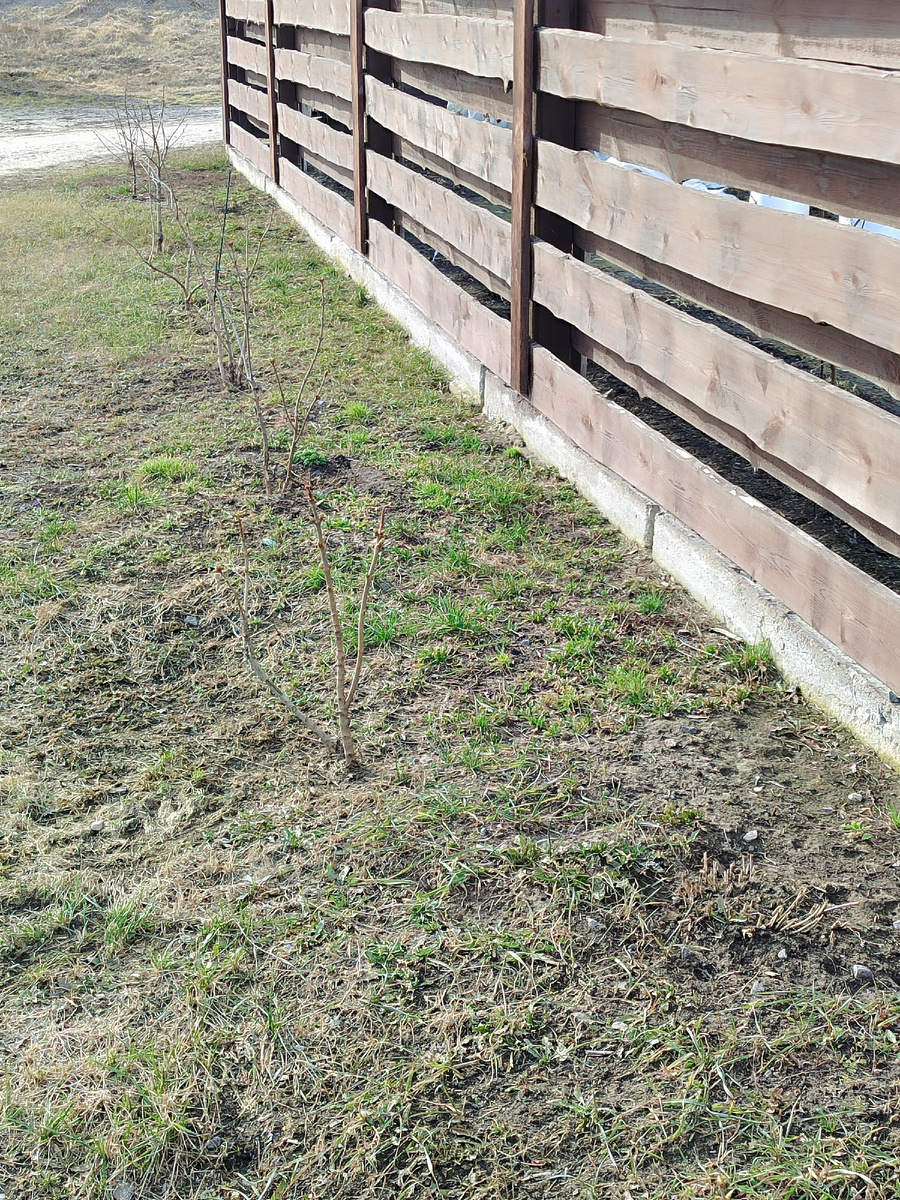 Зазоборье сад