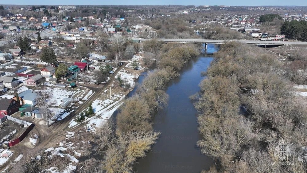    Фото: Управление МЧС по Орловской области