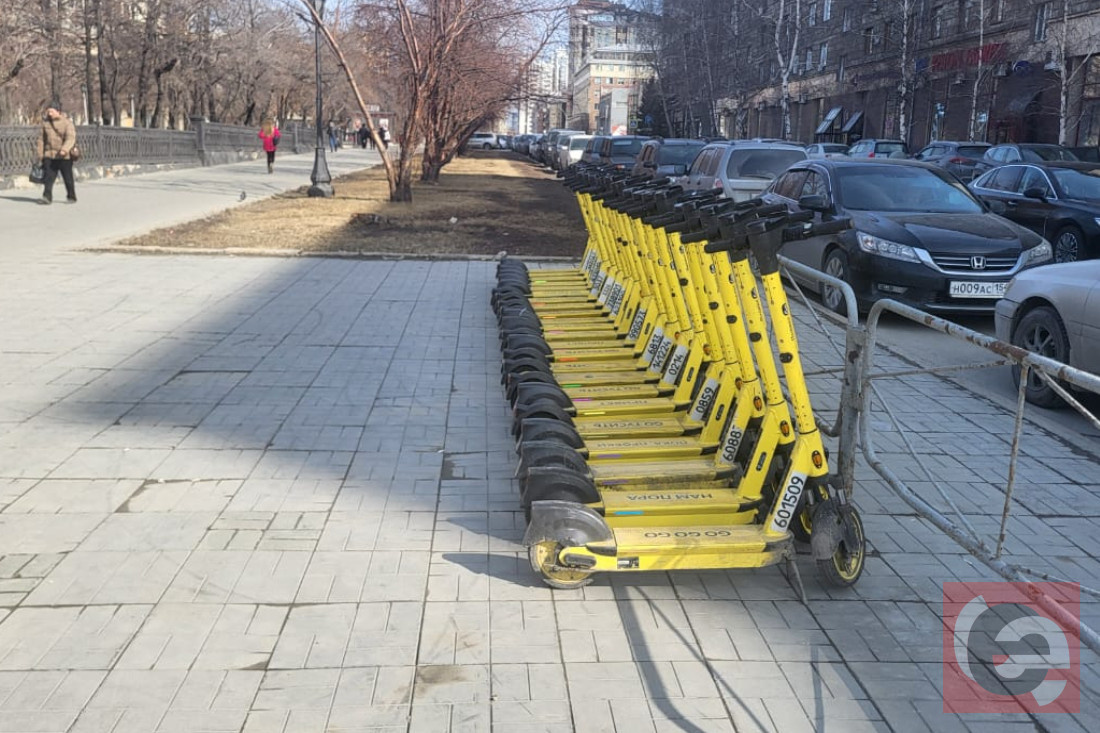    Фото: Прецедент