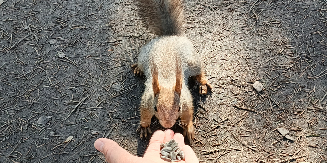 Один день каникул