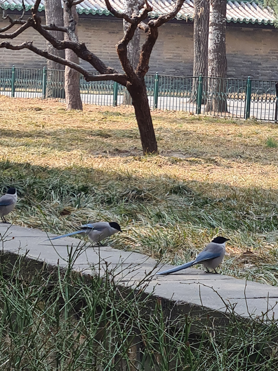 фото добавлена из личной коллекции 