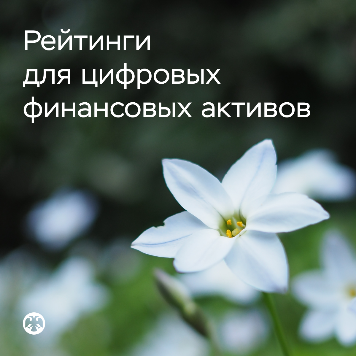 Фото: TOSHIYA NAKAYAMA / Shutterstock