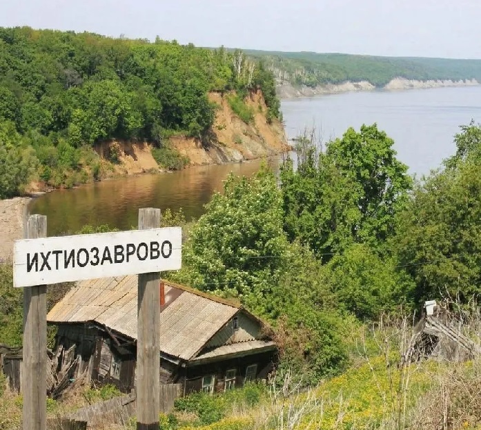 фото из свободных источников