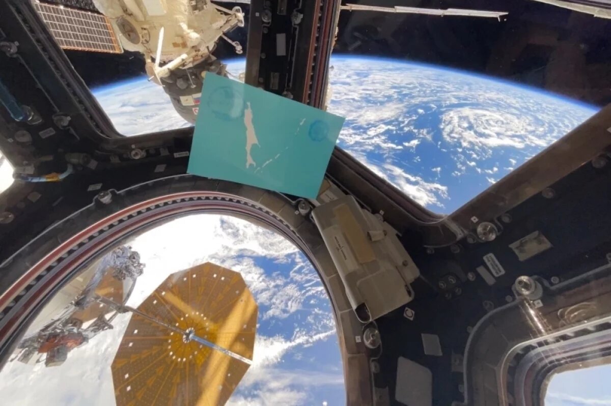    Космонавт Гидзенко сравнил невесомость с ощущением в утробе матери