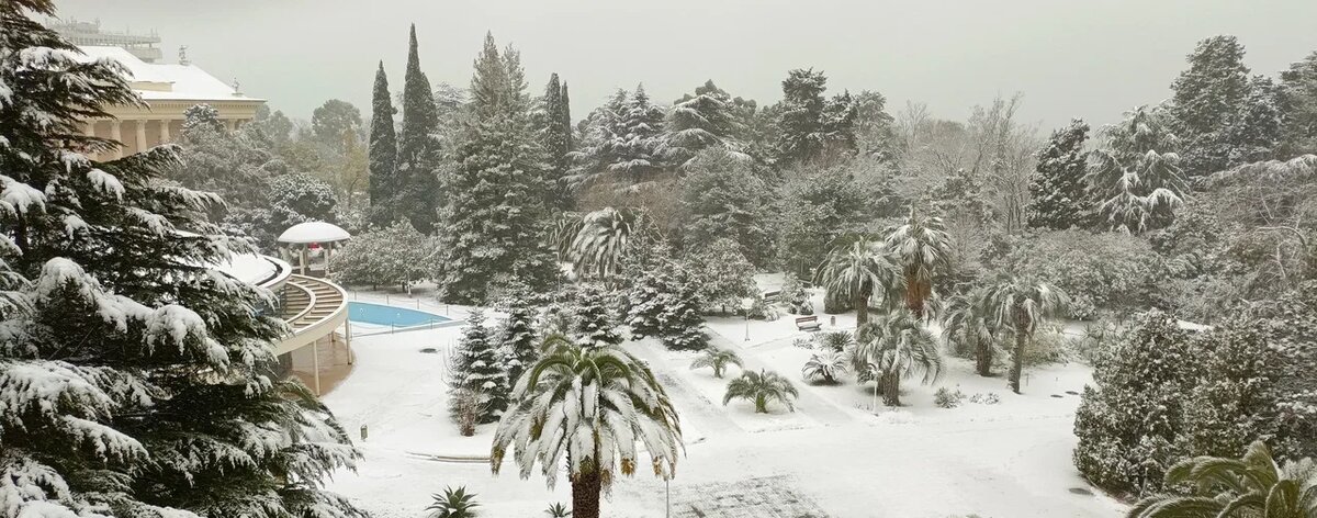 «Черноморье» — это место для тех, кто хочет отдохнуть с комфортом в центре Сочи, буквально в двух шагах от Зимнего театра и Приморской набережной. Территория утопает в зелени: пальмы, магнолии, цветущие клумбы, а до моря рукой подать. В общем и целом, хорошее место для того, чтобы приехать отдохнуть душой и телом.