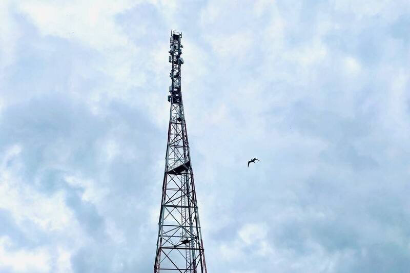 МТС обеспечила LTE-интернетом деревни на юге Курганской области